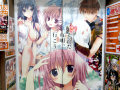 コミケ83カタログ特典イラスト Karory・梱枝りこ・涼香・トモセシュンサク他