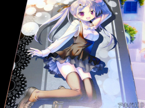ニーソックス、サイハイソックスなどを履いた女の子のイラストいろいろ「見終わる頃に、ジーク絶対領域していただけたらこれ幸い」（まえがき）