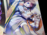 猫と遊ぶ女の子とサイハイソックス