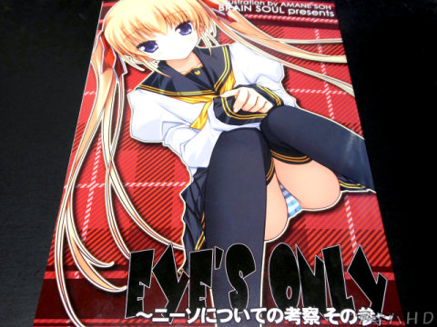 「EYE’S ONLY～ニーソについての考察 その参～」美少女ゲームの原画などを担当している雨音颯氏のサークル・BRAIN SOULの新刊