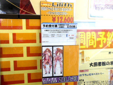 2012年12月28日発売「対魔忍アサギ3」の甲河アスカ抱き枕カバーが2月に発売