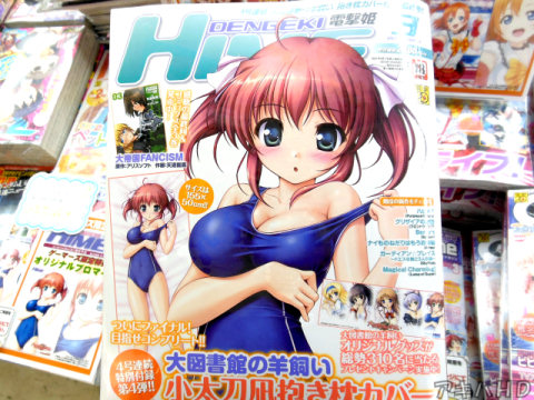 電撃HIME3月号発売、表紙は付録イラストと同じ「大図書館の羊飼い」小太刀凪