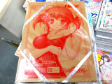 付録のパッケージ
