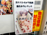 ヨドバシカメラ、内藤舞亜の入浴描き下ろしテレカ
