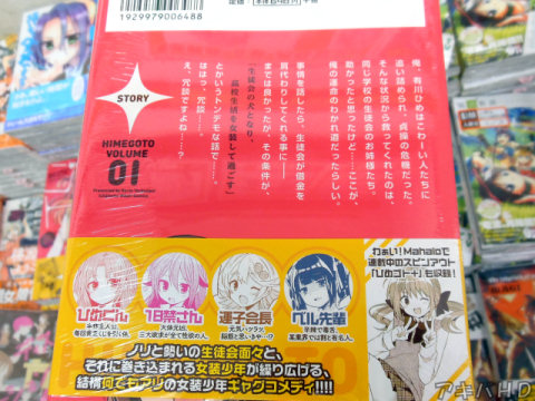 「ノリと勢いの生徒会面々と、それに巻き込まれる女装少年が繰り広げる結構何でもアリの女装少年ギャグコメディ！！！！」