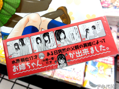 裏表紙「ある日突然父親の再婚によってお姉ちゃん（水原一香17才）が出来ました」「各キャラの掘り下げが進んで幅広く奥深い作品になってきた」