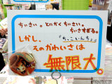 メロンブックス「しかし、そのかわいさは無限大」