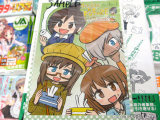とらのあな特典、イラストカード