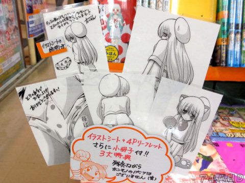 とらのあなA店2F、特典のPOP「残念ながらホンモノのパンツはございません（笑）」