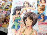 とらのあな特典、イラストカード