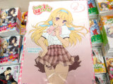 とらのあな特典、小冊子