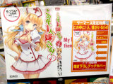 ゲーマーズ特典、掛け替えカバー