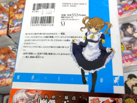 裏表紙「銀閃の風姫vs.凍漣の雪姫開幕となってしまうのか！！？」