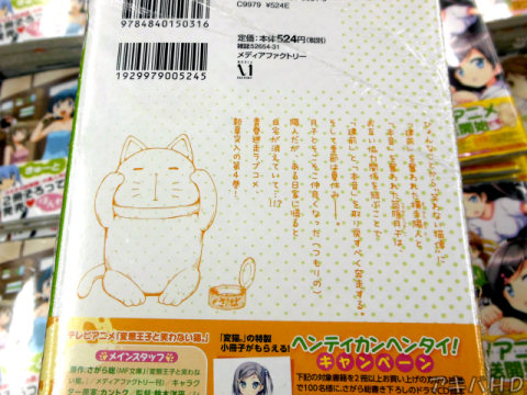 裏表紙「ある日家に帰ると、自宅が消えていて！！？」