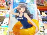 とらのあな特典小冊子、スク水
