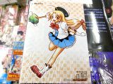 ゲーマーズ特典、ブロマイド