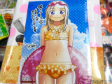 ゲーマーズ特典、ブロマイド