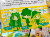 裏表紙側オビ、人物紹介