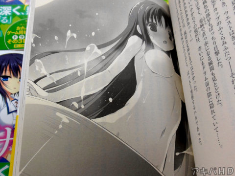 「このシリーズのメインが「おっぱい」だったことが判明」「おかげさまで挿絵のおっぱい率が高くて大変よろしい」