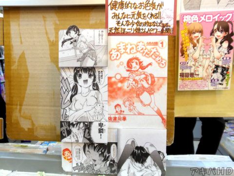 COMIC ZIN「健康的なお色気がみんなに元気をくれる!」「そんな少女のおはなしである。天然ほっこり娘さんパワー全開!」
