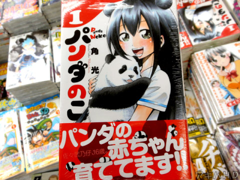 「パンダのこ」1巻オビ「佐々武乃子、16歳。パンダの赤ちゃん育ててます！！」