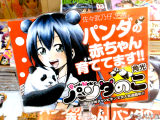 販促POP「パンダのあかちゃん育ててます！！」