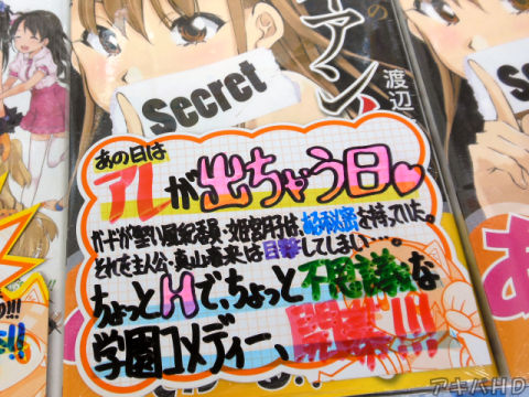 とらのあな「ちょっとHで、ちょっと不思議な学園コメディー、開幕！！！」