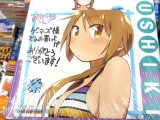 とらのあな特典描き下ろしブックカバー、いいんちょうトラコスプレみたいなの
