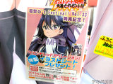 とらのあな特典、イラストシート