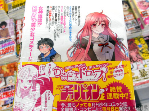 裏表紙「みなもと悠が描く神様系美少女コメディー！！」