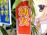 アキバ☆ソフマップ1号店「幼女」