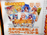 フルカラーイラスト集は冊子版とDVD-ROM版で作家がそれぞれ違う
