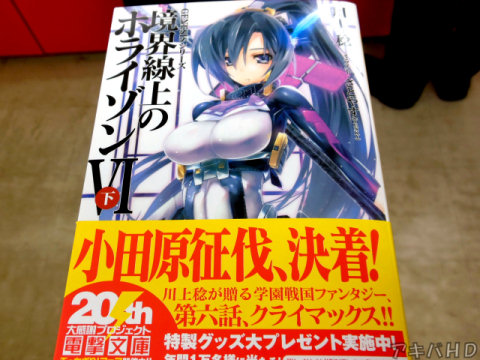 「境界線上のホライゾンVI(下)」(著:川村稔氏、イラスト:さとやす氏)
