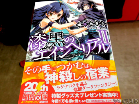 「漆黒のエインヘリアル」2巻(著:相原あきら氏、イラスト:nyoro氏)