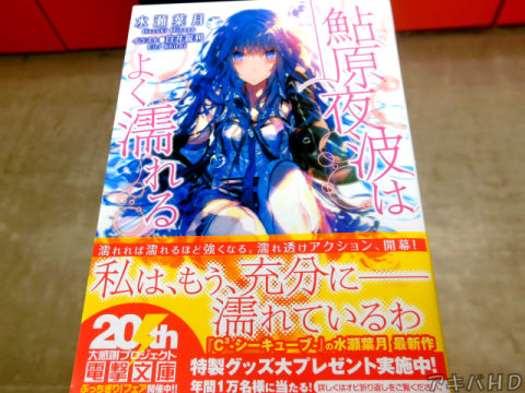 「鮎原夜波はよく濡れる」(著:水瀬葉月氏、イラスト:白井鋭利氏)