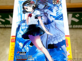 ゲーマーズ特典、ブロマイド
