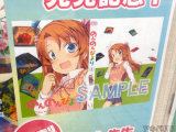 とらのあな特典、掛け替えカバー