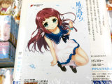 ゲーマーズ特典、ブロマイド