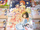 COMIC ZIN特典、リーフレット