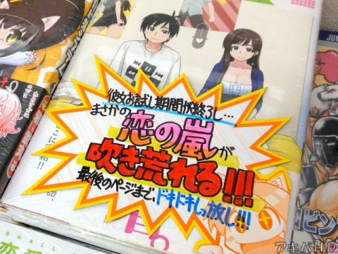 とらのあな「彼女のお試し期間が終了し…まさかの恋の嵐が吹き荒れる！！」「最後のページまで、ドキドキしっ放し！！！」