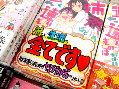 とらのあな「弟を溺愛しすぎる姉のヤミラブコメディースタート！！！」「弟は生活の全てです♥」