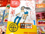 とらのあな特典、特製ブックカバー、表紙総選挙で2位だったイラスト