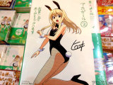 COMIC ZIN特典イラストカード、バニーガール