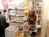発売時のCOMIC ZIN