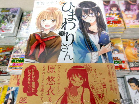 コミックアライブ連載「ひまわりさん」4巻（菅野マナミ氏）オビは「きんいろモザイク」原悠衣氏によるコメントとイラスト入り