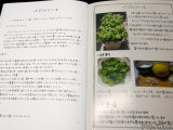 コラム「バジルソース」育て方やソースの作り方
