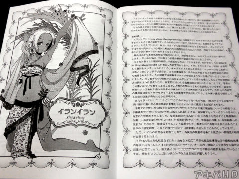 アロマオイルをイメージした少女のイラストと共に歴史や製法などを解説上はイランイラン、全部で6種類のアロマオイルを紹介