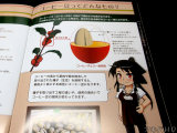 「コーヒー豆ってどんなもの？」
