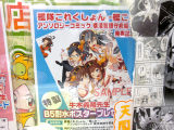 とらのあな特典、B5耐水ポスター