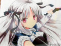 美少女×バトル好きは必見「アブソリュート・デュオ」1巻 学園バトル開幕